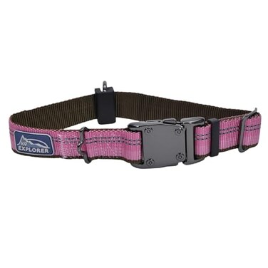 Coastal Pet K9 Explorer Reflective Adjustable Dog Collar Comfortable Collar for the Outdoors Durable Lightweight Accessory with SideRelease Buckle Berry 1 x 1218