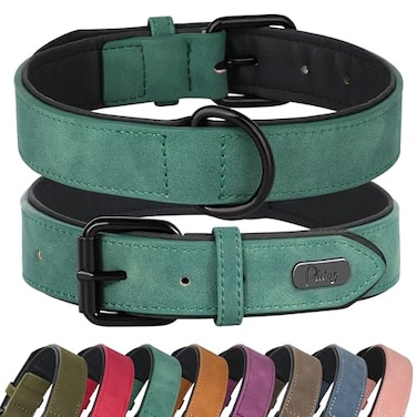 Didog Soft Padded Leather Dog Collar Breathable Heavy Duty Dog Collar Leather with Adjustable RustProof Metal Buckle for Small Medium Large Dogs Green XL