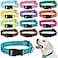 Buryeah 12 Pieces Dog Collar Bulk Puppy Collars Adjustable Nylon for Small Medium Dogs with Safety Buckle for Dogs Walking Running TrainingMixed Colors