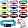 Buryeah 12 Pieces Dog Collar Bulk Puppy Collars Adjustable Nylon for Small Medium Dogs with Safety Buckle for Dogs Walking Running TrainingMixed Colors