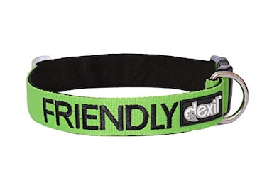 Dexil Limited Friendly Green Color Coded SM Buckle Dog Collar Known As Friendly Prevents Accidents by Warning Others of Your Dog in Advance