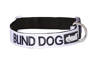 Dexil Blind Dog White Color Coded Alert Warning SM LXL Buckle Dog Collars SM Collar 1017Lx1W
