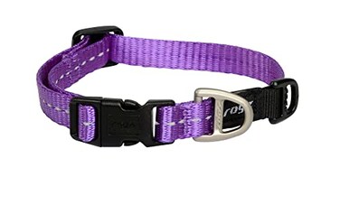 Rogz Utility Small 38Inch Reflective Nitelife Dog Collar Purple
