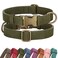 Didog Soft PU Leather Dog Collar Stylish Quick Released Dog Collars for Small Dogs Easy Clean Adjustable Pet Collar for Daily Walking Dark Green S Fit 1015 Neck