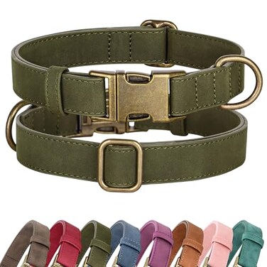 Didog Soft PU Leather Dog Collar Stylish Quick Released Dog Collars for Small Dogs Easy Clean Adjustable Pet Collar for Daily Walking Dark Green S Fit 1015 Neck