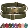 Didog Soft PU Leather Dog Collar Stylish Quick Released Dog Collars for Small Dogs Easy Clean Adjustable Pet Collar for Daily Walking Dark Green S Fit 1015 Neck