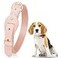 JAX PLANET Leather Dog Collar for Medium Dogs Microfiber Leather Collar Soft Padded Alloy Hardware Waterproof Easy to Clean Adjustable Breathable for Stylish Walking Peach Pink Medium