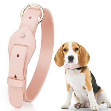 JAX PLANET Leather Dog Collar for Medium Dogs Microfiber Leather Collar Soft Padded Alloy Hardware Waterproof Easy to Clean Adjustable Breathable for Stylish Walking Peach Pink Medium