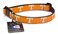 All Star Dogs Tennessee Volunteers Ribbon Dog Collar Medium