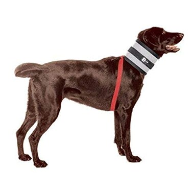 BiteNot Collar 5 W x 21 L