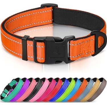 Joytale Reflective Dog Collar Soft Neoprene Padded Metal DRing Nylon Pet Collar Adjustable for Large Dogs Orange L