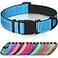 Joytale Reflective Dog Collar Soft Neoprene Padded Metal DRing Nylon Pet Collar Adjustable for Medium Dogs Sky Blue M