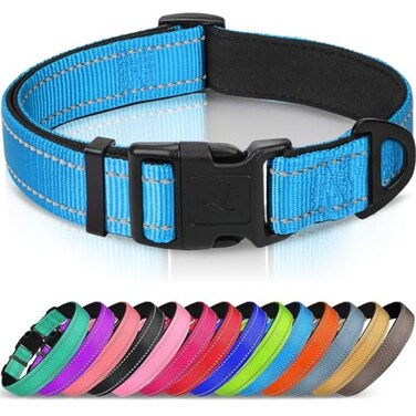 Joytale Reflective Dog Collar Soft Neoprene Padded Metal DRing Nylon Pet Collar Adjustable for Medium Dogs Sky Blue M