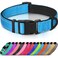 Joytale Reflective Dog Collar Soft Neoprene Padded Metal DRing Nylon Pet Collar Adjustable for Medium Dogs Sky Blue M