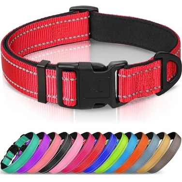 Joytale Reflective Dog Collar Soft Neoprene Padded Metal DRing Nylon Pet Collar Adjustable for Puppy and Small Dogs Red XS