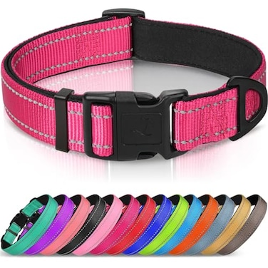 Joytale Reflective Dog Collar Soft Neoprene Padded Metal DRing Nylon Pet Collar Adjustable for Puppy and Small Dogs Hotpink XS