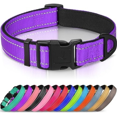 Joytale Reflective Dog Collar Soft Neoprene Padded Metal DRing Nylon Pet Collar Adjustable for Puppy and Small Dogs Purple XS