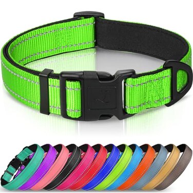 Joytale Reflective Dog Collar Soft Neoprene Padded Metal DRing Nylon Pet Collar Adjustable for Small Dogs Green S