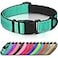 Joytale Reflective Dog Collar Soft Neoprene Padded Metal DRing Nylon Pet Collar Adjustable for Medium Dogs Teal M
