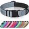 Joytale Reflective Dog Collar Soft Neoprene Padded Metal DRing Nylon Pet Collar Adjustable for Large Dogs Gray L