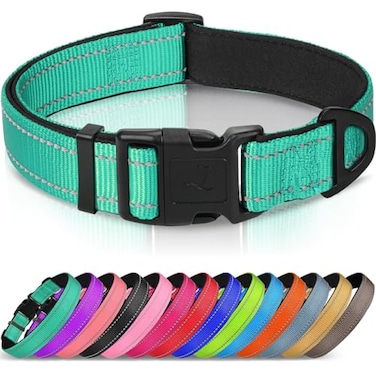 Joytale Reflective Dog Collar Soft Neoprene Padded Metal DRing Nylon Pet Collar Adjustable for Small Dogs Teal S