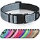 Joytale Reflective Dog Collar Soft Neoprene Padded Metal DRing Nylon Pet Collar Adjustable for Medium Dogs Gray M