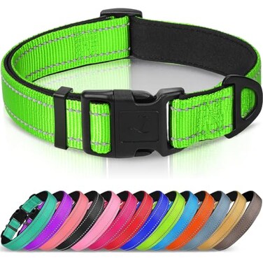 Joytale Reflective Dog Collar Soft Neoprene Padded Metal DRing Nylon Pet Collar Adjustable for Medium Dogs Green M