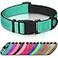 Joytale Reflective Dog Collar Soft Neoprene Padded Metal DRing Nylon Pet Collar Adjustable for Extra Large Dogs Teal XL