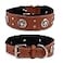 DowgClub Genuine Leather Dog Collar Saddle Grade Full Grain Heavy Duty Stylish Comfortable Best for Medium Large XL Breeds L Neck Size 185225 Tan Texas Star Conchos