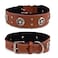 DowgClub Genuine Leather Dog Collar Saddle Grade Full Grain Heavy Duty Stylish Comfortable Best for Medium Large XL Breeds L Neck Size 185225 Tan Texas Star Conchos
