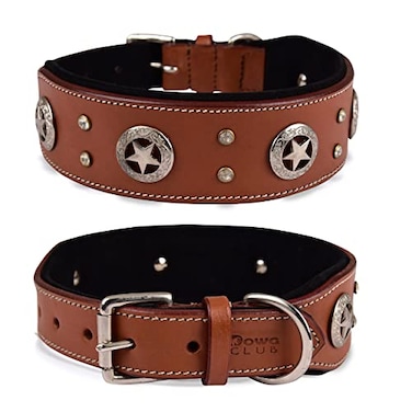 DowgClub Genuine Leather Dog Collar Saddle Grade Full Grain Heavy Duty Stylish Comfortable Best for Medium Large XL Breeds L Neck Size 185225 Tan Texas Star Conchos