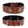 DowgClub Genuine Leather Dog Collar Saddle Grade Full Grain Heavy Duty Stylish Comfortable Best for Medium Large XL Breeds L Neck Size 185225 Tan Texas Star Conchos
