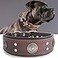 PP COLOR Leather Dog Collar 2 inches Wide Heavy Duty Genuine Leather Collars Handmade Soft and Luxury Eyecatching Best Choice for Large and Medium Breed Dogs Brown 2125 in