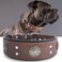 PP COLOR Leather Dog Collar 2 inches Wide Heavy Duty Genuine Leather Collars Handmade Soft and Luxury Eyecatching Best Choice for Large and Medium Breed Dogs Brown 2125 in