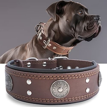 PP COLOR Leather Dog Collar 2 inches Wide Heavy Duty Genuine Leather Collars Handmade Soft and Luxury Eyecatching Best Choice for Large and Medium Breed Dogs Brown 2125 in
