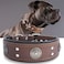 PP COLOR Leather Dog Collar 2 inches Wide Heavy Duty Genuine Leather Collars Handmade Soft and Luxury Eyecatching Best Choice for Large and Medium Breed Dogs Brown 2125 in