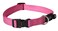 Rogz Reflective Dog Collar for Large Dogs Adjustable from 1322 inches Pink