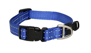 Rogz Reflective Dog Collar for Medium Dogs Adjustable from 1217 inches Blue