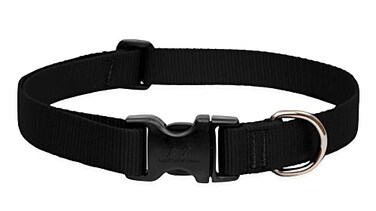 LupinePet Basics 1 Black 1220 Adjustable Collar for Medium and Larger Dogs