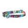 Wolfgang ManBeast Wolfgang Heavy Duty Adjustable Dog Collar with Quick Release Nylon Buckle for Walking Training LazyDaisy Print Small