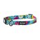Wolfgang ManBeast Wolfgang Heavy Duty Adjustable Dog Collar with Quick Release Nylon Buckle for Walking Training LazyDaisy Print Small