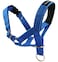 Dogs My Love Dog Head Collar Halter Blue 5 Sizes XXL 1416 Snout