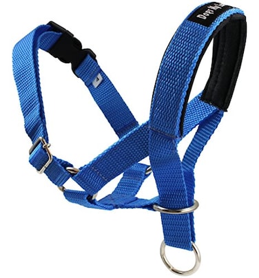Dogs My Love Dog Head Collar Halter Blue 5 Sizes XXL 1416 Snout