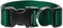 LupinePet Basics 1 Green 1220 Adjustable Collar for Medium and Larger Dogs