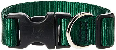 LupinePet Basics 1 Green 1220 Adjustable Collar for Medium and Larger Dogs