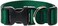 LupinePet Basics 1 Green 1220 Adjustable Collar for Medium and Larger Dogs