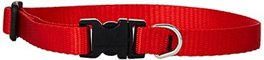 LupinePet Basics 12 Red 1016 Adjustable Collar for Small Dogs