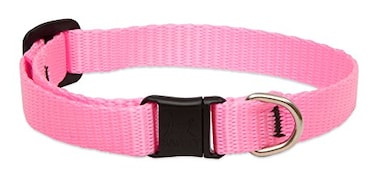 LupinePet Basics 12 Pink Cat Safety Collar 812
