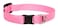 LupinePet Basics 12 Pink Cat Safety Collar 812