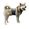 CoolerDog Dog Cooling Vest Cooling Collar Ice Vest for Hot Weather Heat Relief ReFreezable Pure Water Inserts Large 2734 Girth